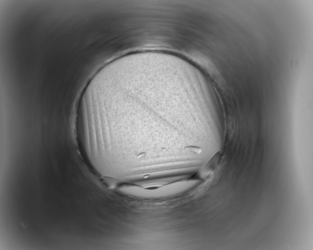 X0000089751374200707201913