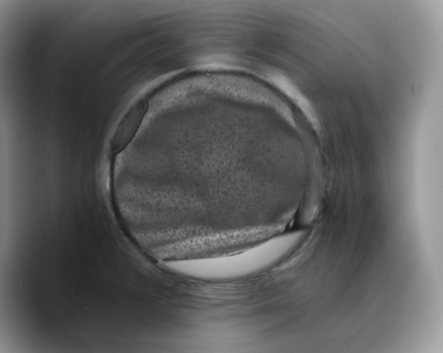 X0000089751376200707201913