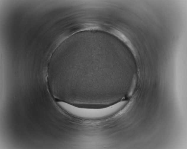 X0000089751377200707201913