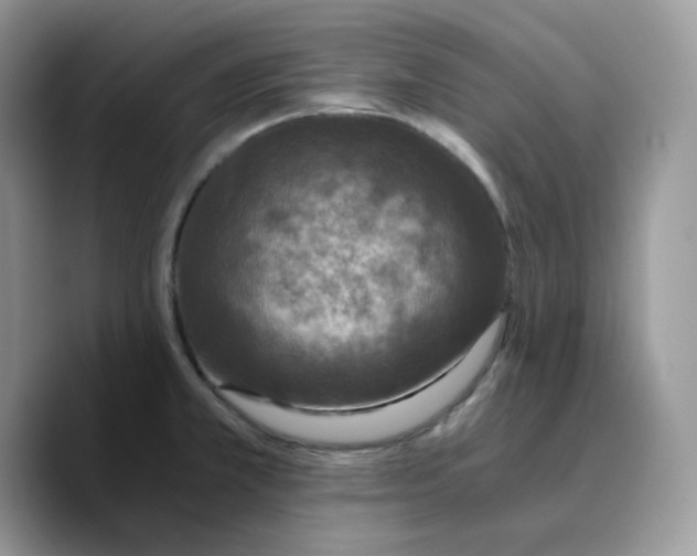 X0000089751381200707201913