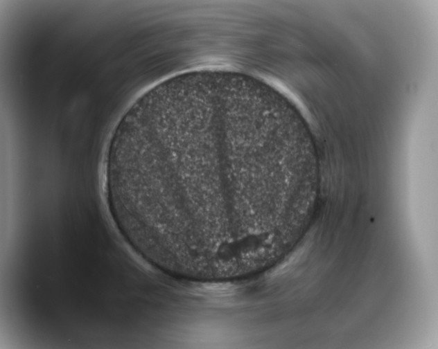 X0000089751383200707201913