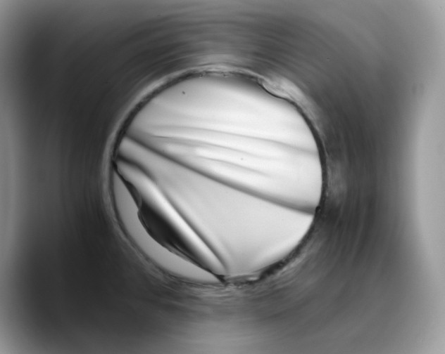 X0000089751384200707201913