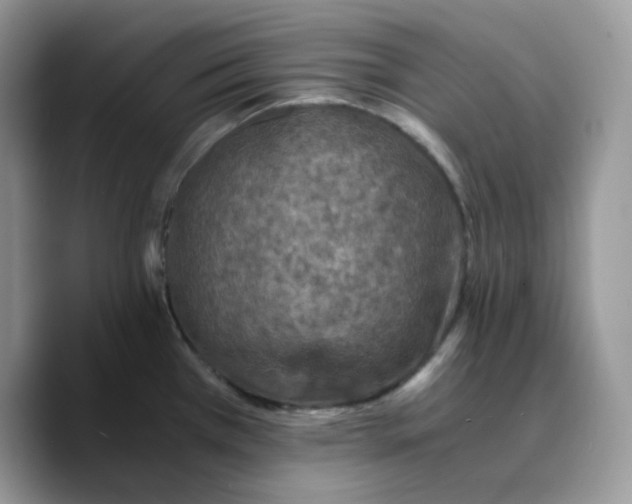 X0000089751385200707201913