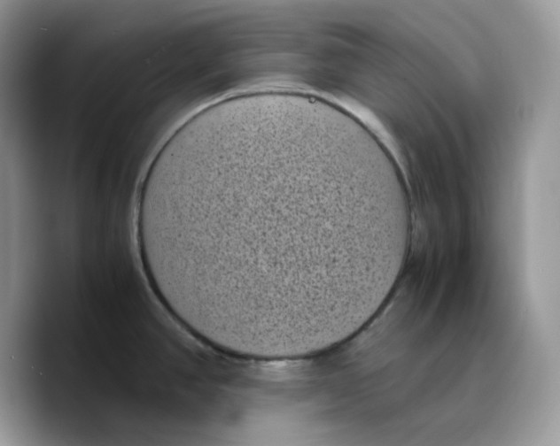 X0000089751390200707201913