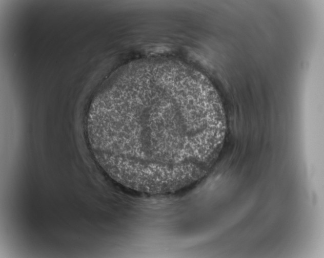 X0000089751393200707201912