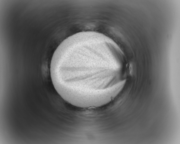 X0000089751395200707201912