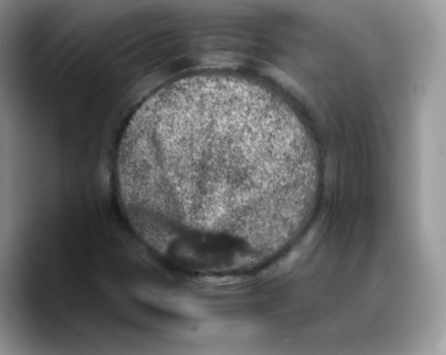 X0000089751401200707201913