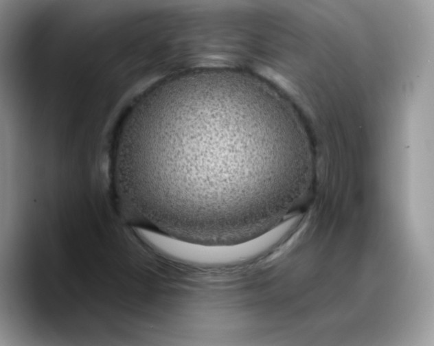 X0000089751402200707201913