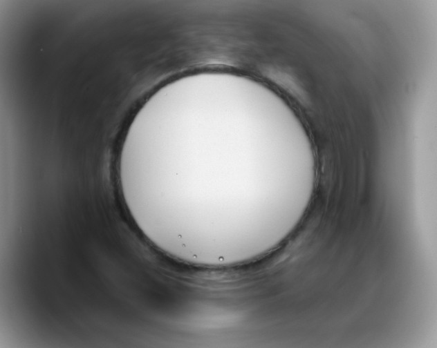 X0000089751404200707201913