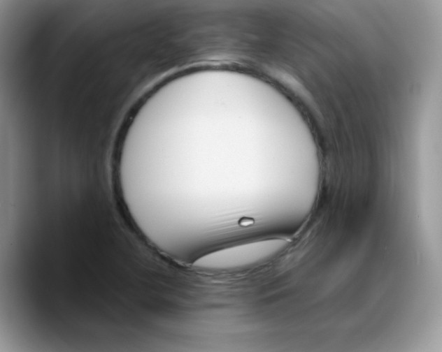 X0000089751412200707201913