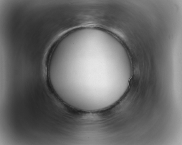 X0000089751414200707201913