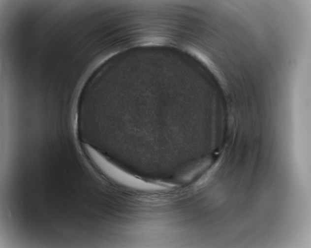 X0000089751418200707201913