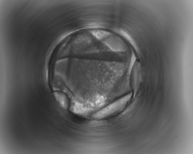 X0000089751419200707201913