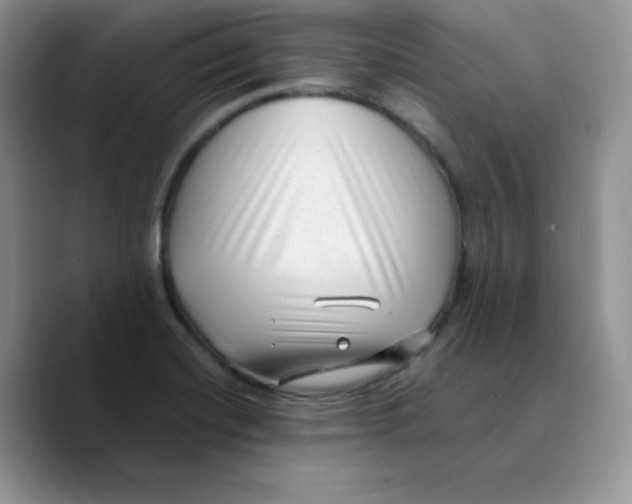 X0000089751420200707201913