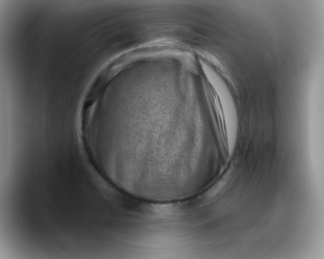 X0000089751422200707201913