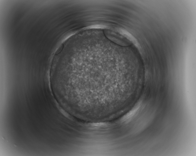 X0000089751425200707201913