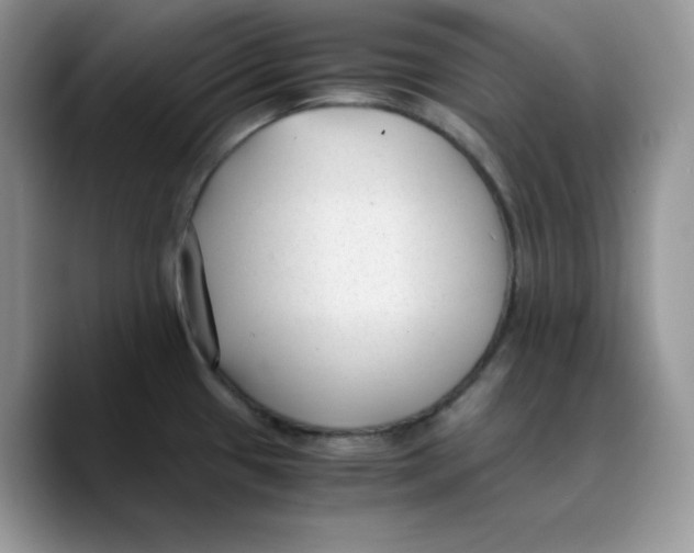 X0000089751433200707201913