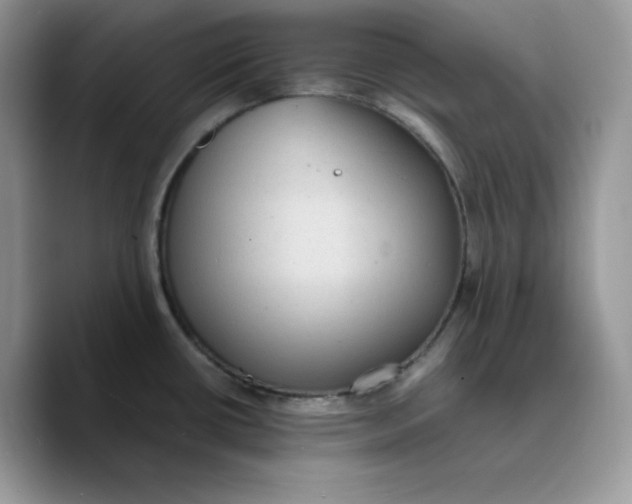 X0000089751434200707201913