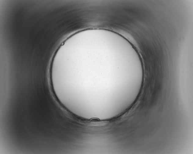 X0000089751440200707201913