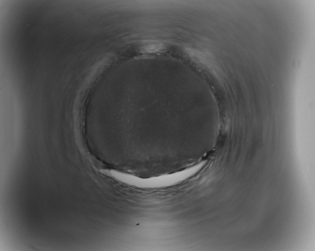 X0000089751441200707201912