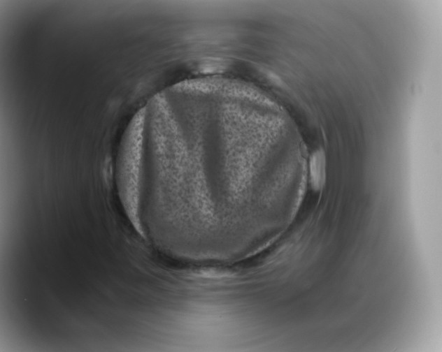 X0000089751443200707201912