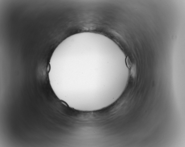 X0000089751444200707201912