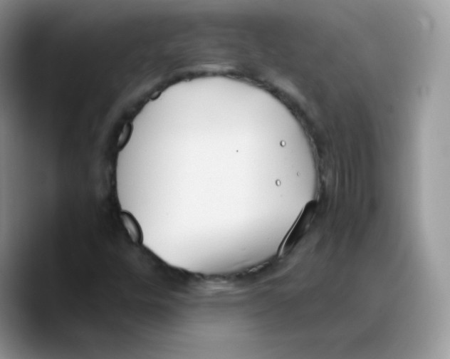 X0000089751448200707201912