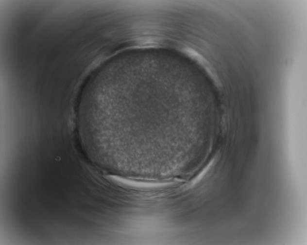 X0000089751449200707201912