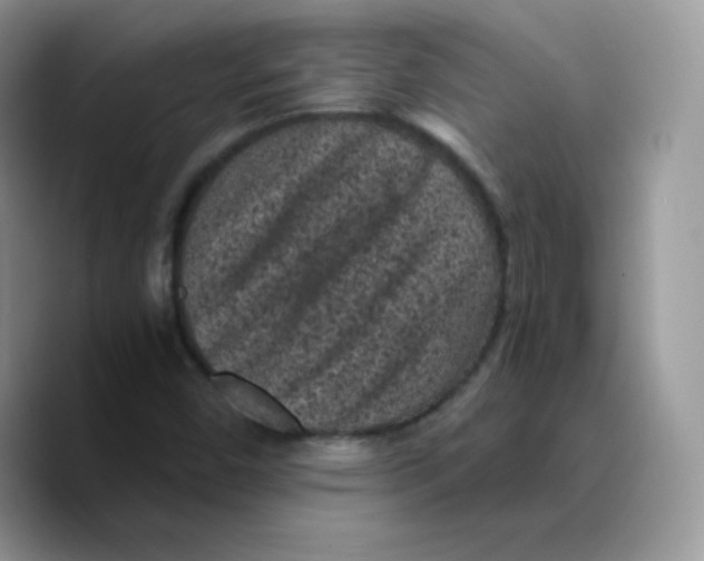 X0000089751450200707201912