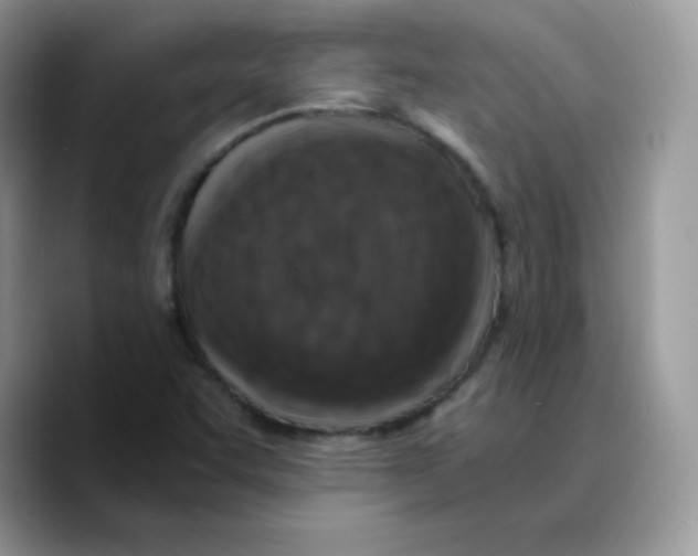 X0000089751455200707201912