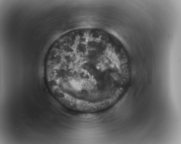 X0000089751459200707201912