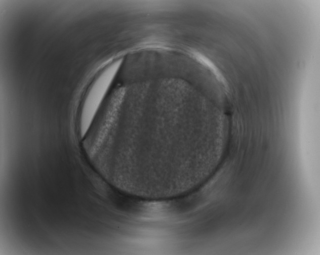 X0000089751461200707201912