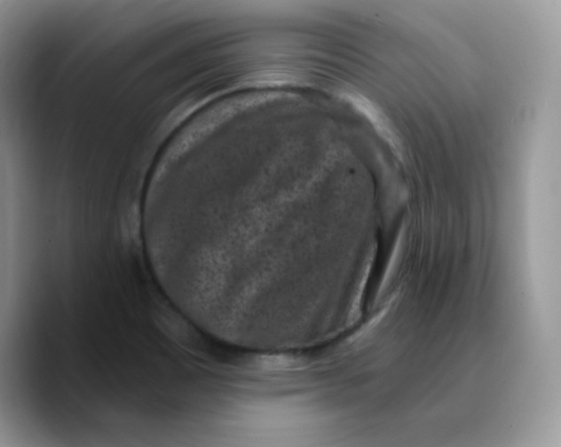 X0000089751465200707201912