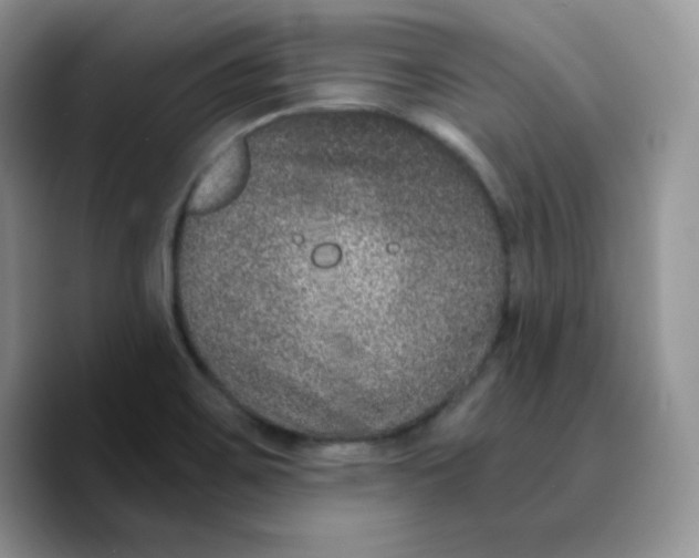 X0000089751467200707201912