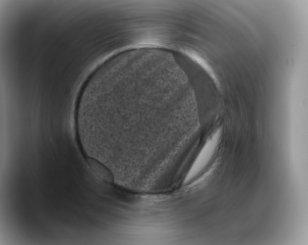 X0000089751469200707201912