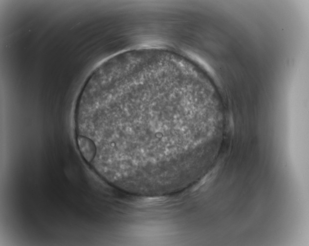 X0000089751471200707201912