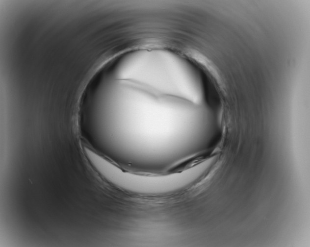 X0000089751473200707201912