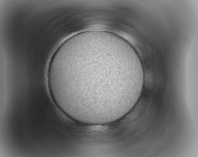 X0000089751478200707201912