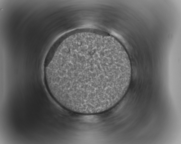 X0000089751479200707201912