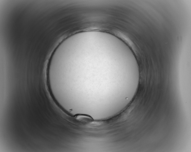 X0000089751483200707201912