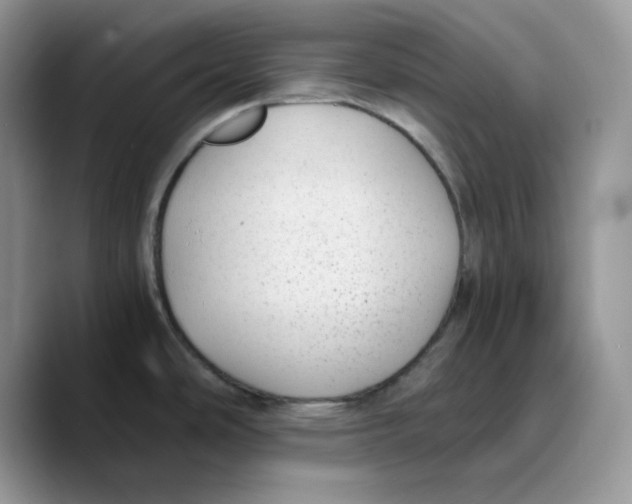 X0000089751486200707201912