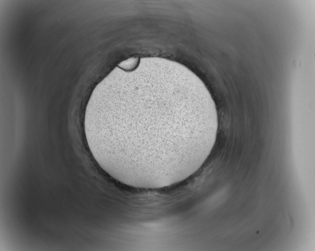 X0000089751489200707201911