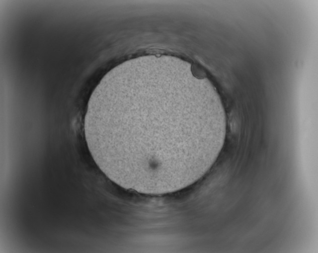 X0000089751495200707201911