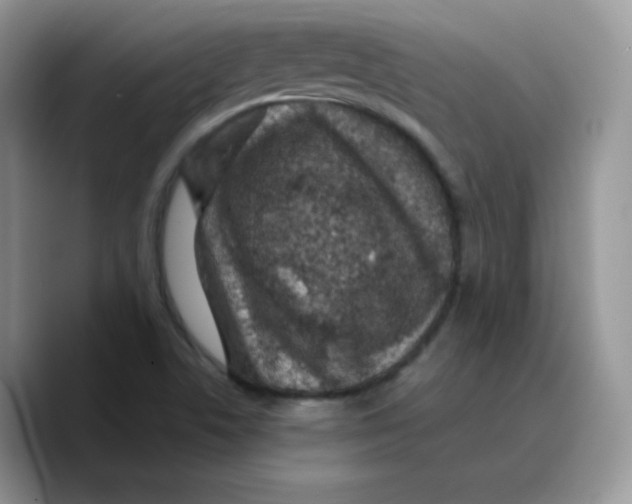 X0000089751506200707201911