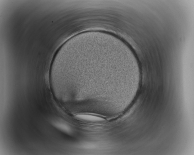 X0000089751513200707201912