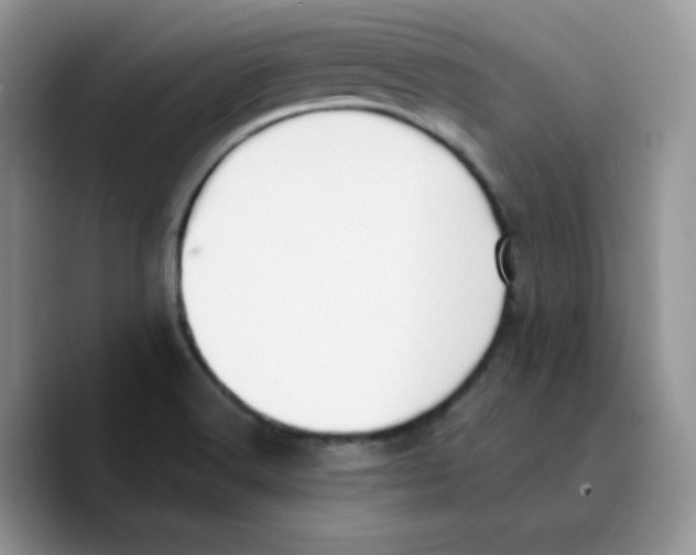 X0000089751516200707201912