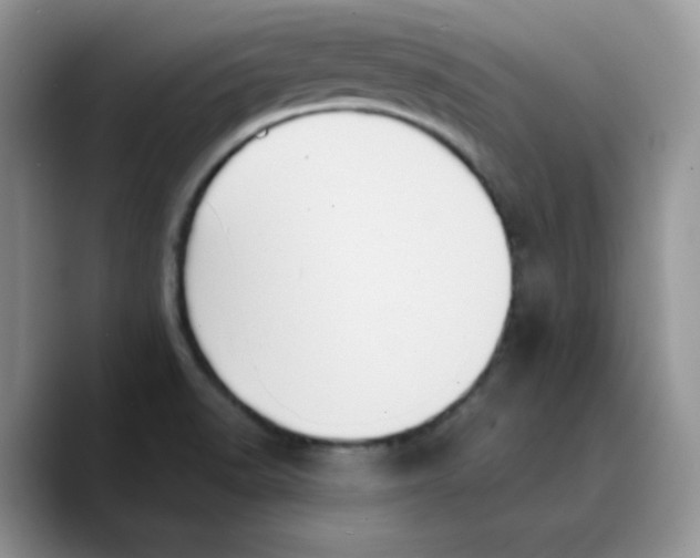 X0000089751518200707201912