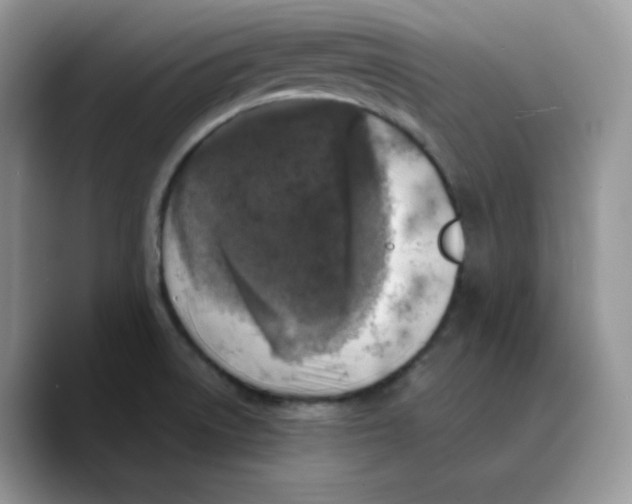 X0000089751522200707201912