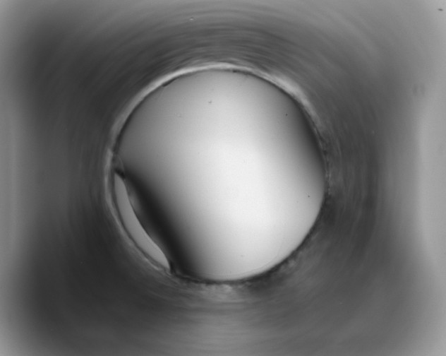 X0000089751524200707201912