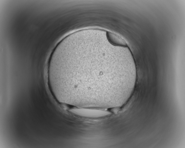 X0000089751526200707201912